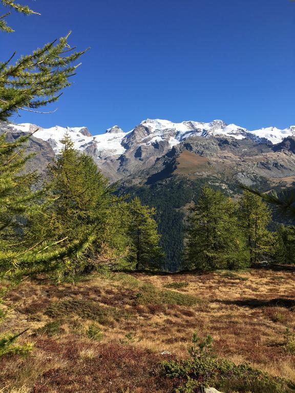 Albergo Punta Zerbion Champoluc Esterno foto